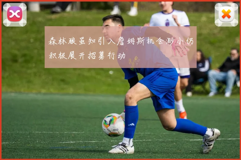 森林狼虽知引入詹姆斯机会渺小仍积极展开招募行动