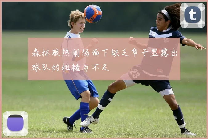 森林狼热闹场面下缺乏华子显露出球队的粗糙与不足