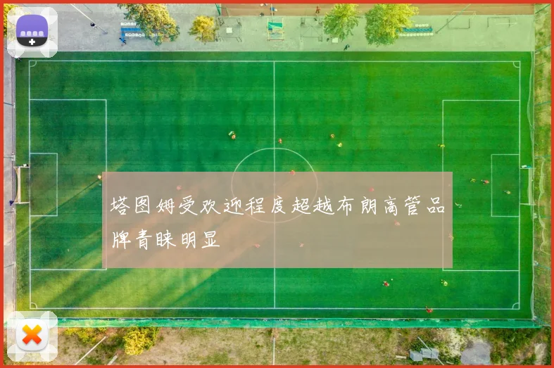 塔图姆受欢迎程度超越布朗高管品牌青睐明显