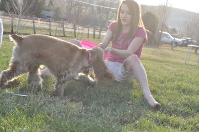 Savannah and Lucy playing tug-of-war