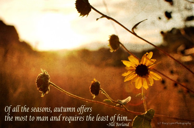 AutumnQuote