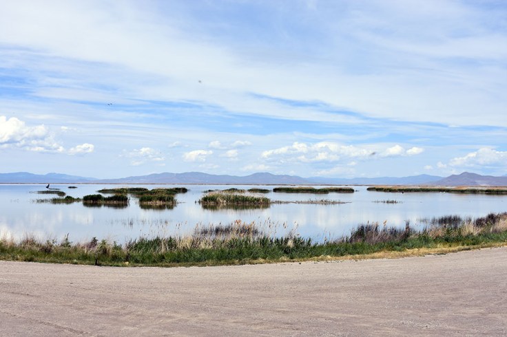 MarshAndMountains_blog